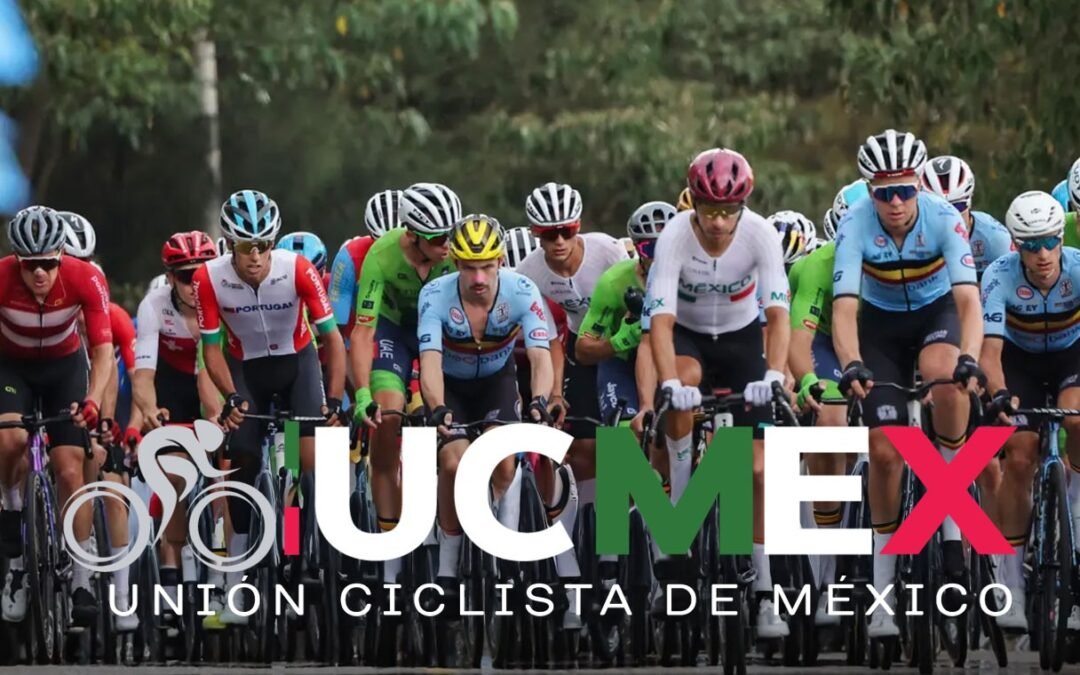 LICENCIAS Y AFILIACIONES DE UCMEX